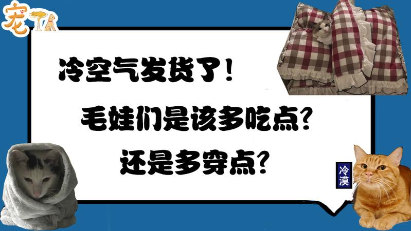 冷空氣發(fā)貨了！毛娃們是該多吃點還是多穿點？