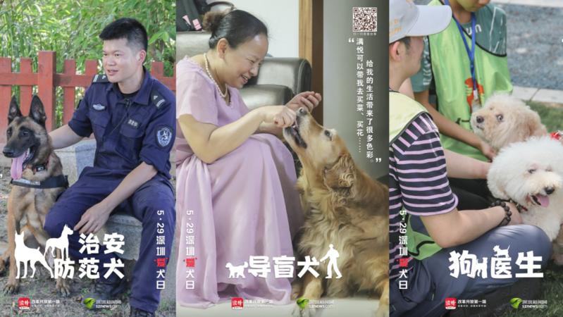 寵TA丨警犬、導(dǎo)盲犬……今天，他們值得被關(guān)注